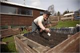 Sowing seed